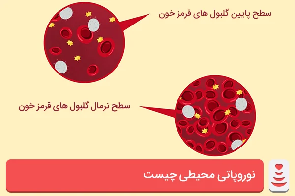 سطح پایین گلبول های قرمز خون و سطح نرمال گلبول‌های قرمز خون | مدی بازار